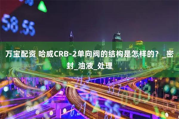 万宝配资 哈威CRB-2单向阀的结构是怎样的？_密封_油液_处理
