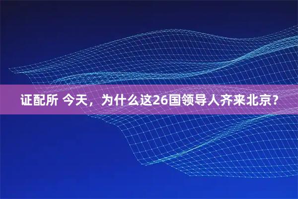 证配所 今天，为什么这26国领导人齐来北京？
