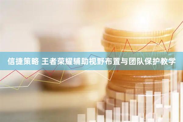 信捷策略 王者荣耀辅助视野布置与团队保护教学